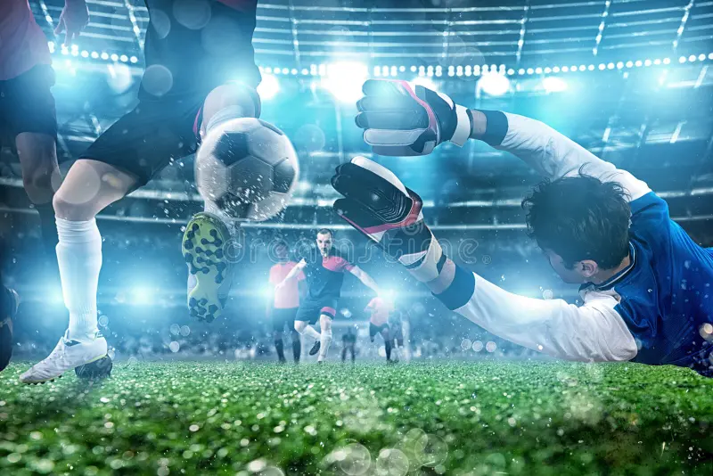 星空体育(china)官方网站 - STAR SPORTS